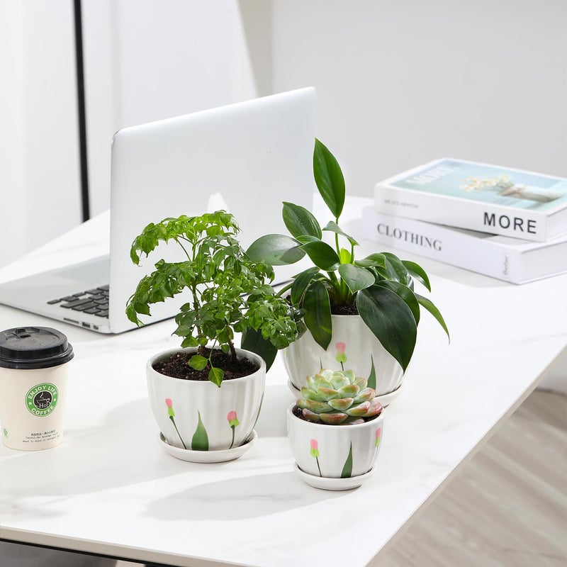 STHIE Ceramic Plant Pots with Drainage Holes and Saucers  Round White Flower Pots for Indoor Plant  Diameter 3.3/4.3/5.5 Inches Small Flower Planters Set of 3 - Image 4
